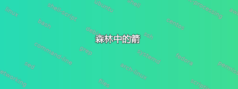 森林中的箭