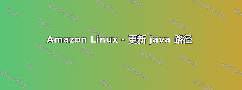 Amazon Linux - 更新 java 路径