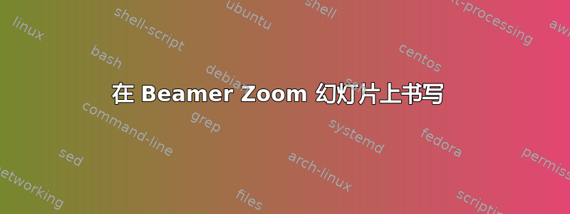 在 Beamer Zoom 幻灯片上书写 