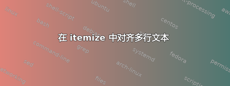 在 itemize 中对齐多行文本