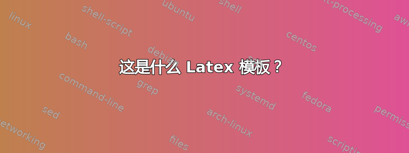 这是什么 Latex 模板？