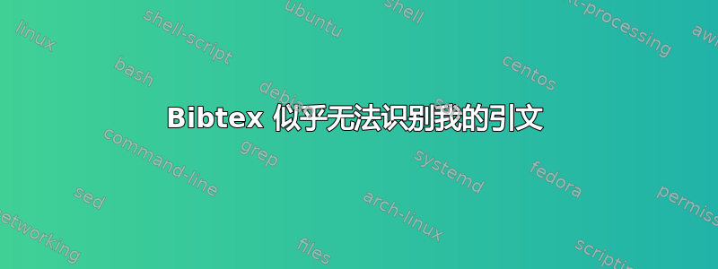 Bibtex 似乎无法识别我的引文