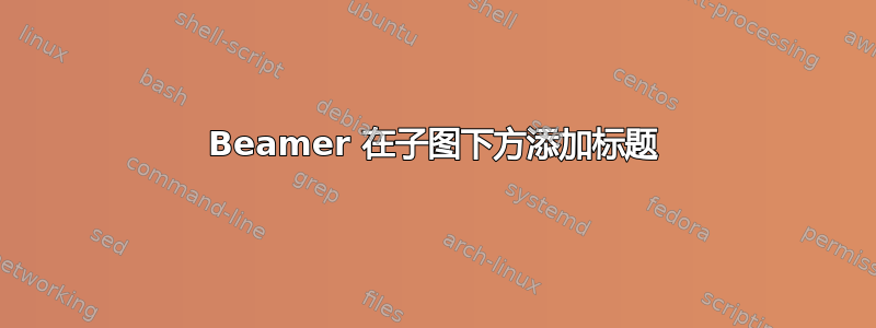 Beamer 在子图下方添加标题