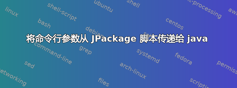 将命令行参数从 JPackage 脚本传递给 java