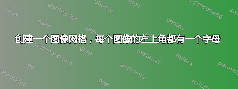 创建一个图像网格，每个图像的左上角都有一个字母