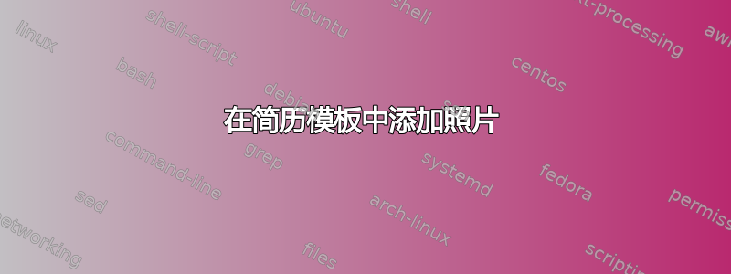 在简历模板中添加照片