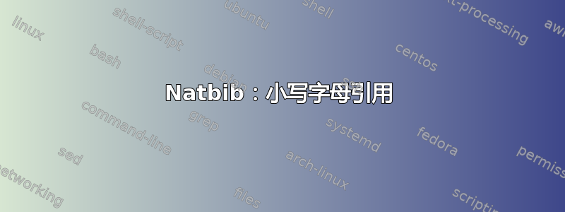 Natbib：小写字母引用