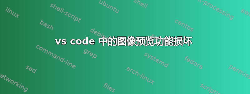 vs code 中的图像预览功能损坏