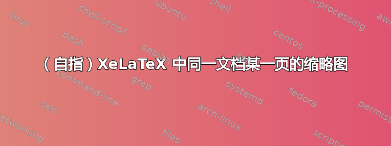 （自指）XeLaTeX 中同一文档某一页的缩略图