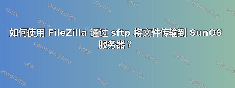 如何使用 FileZilla 通过 sftp 将文件传输到 SunOS 服务器？