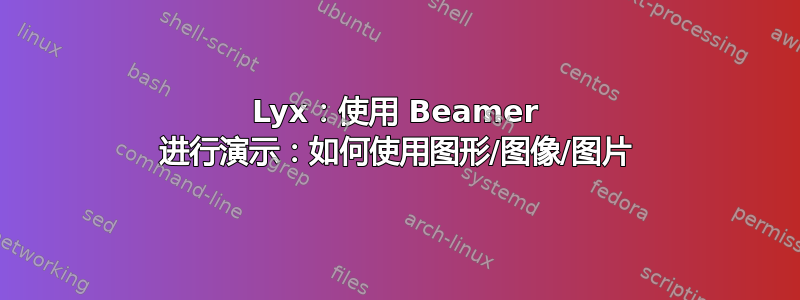 Lyx：使用 Beamer 进行演示：如何使用图形/图像/图片