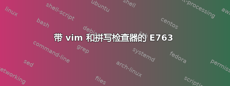 带 vim 和拼写检查器的 E763