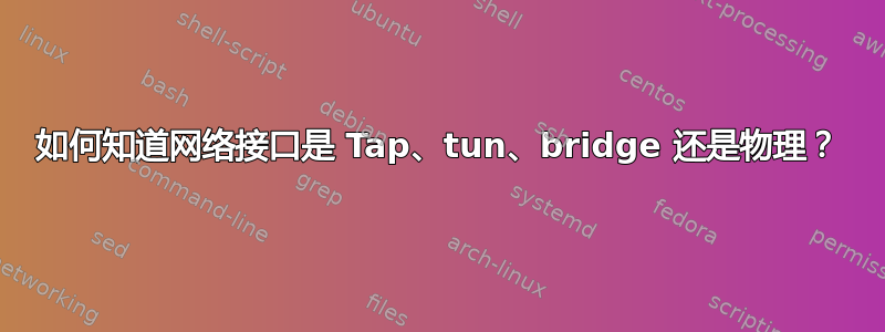 如何知道网络接口是 Tap、tun、bridge 还是物理？