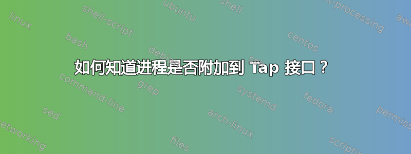 如何知道进程是否附加到 Tap 接口？