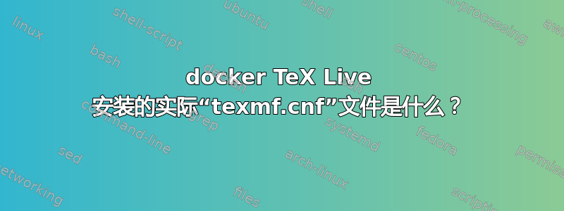 docker TeX Live 安装的实际“texmf.cnf”文件是什么？