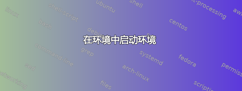 在环境中启动环境