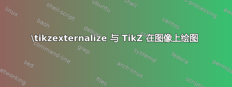 \tikzexternalize 与 TikZ 在图像上绘图