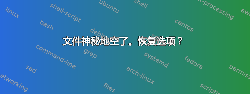 文件神秘地空了。恢复选项？