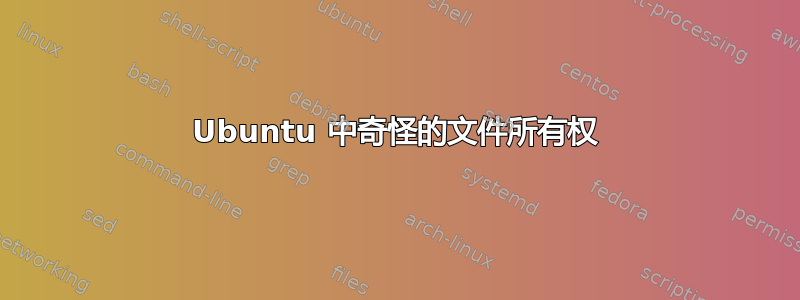 Ubuntu 中奇怪的文件所有权