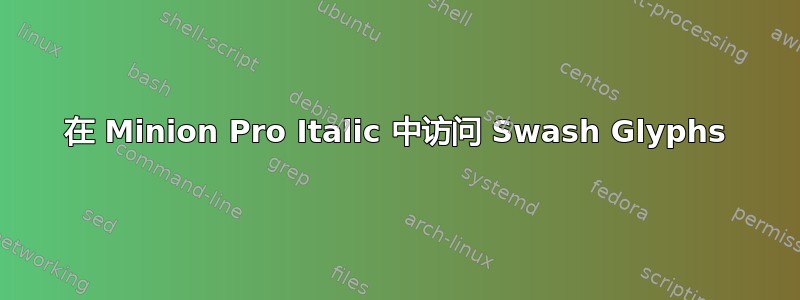 在 Minion Pro Italic 中访问 Swash Glyphs