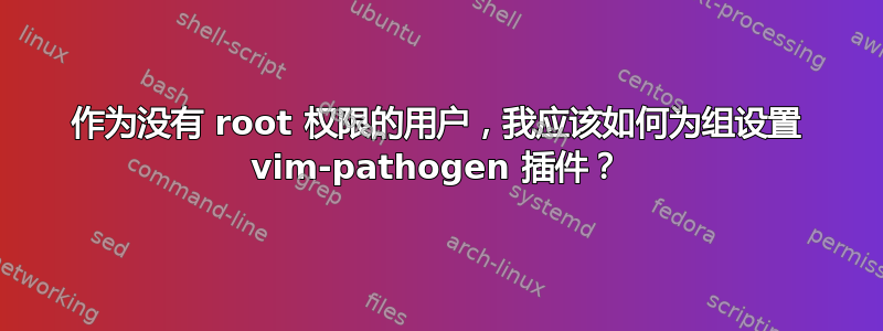 作为没有 root 权限的用户，我应该如何为组设置 vim-pathogen 插件？