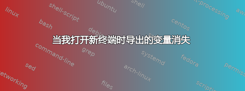 当我打开新终端时导出的变量消失