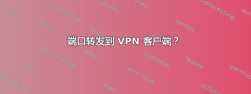 端口转发到 VPN 客户端？