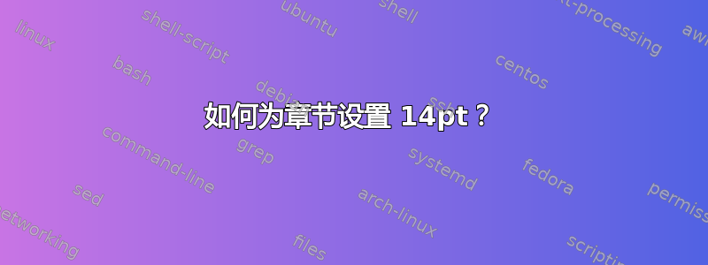 如何为章节设置 14pt？