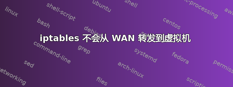 iptables 不会从 WAN 转发到虚拟机