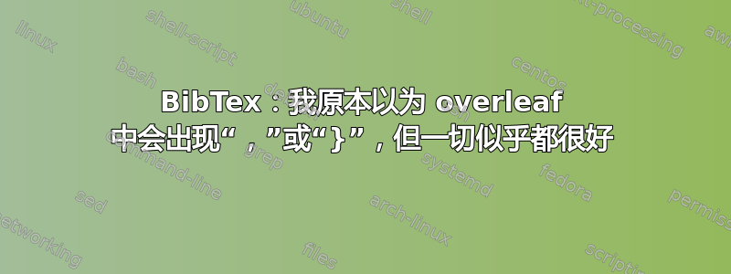 BibTex：我原本以为 overleaf 中会出现“，”或“}”，但一切似乎都很好