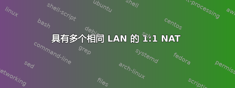 具有多个相同 LAN 的 1:1 NAT