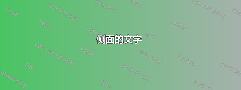 侧面的文字