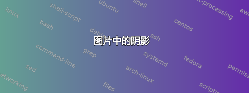 图片中的阴影 