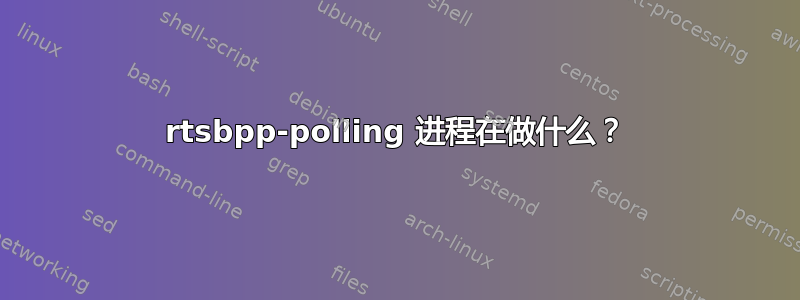 rtsbpp-polling 进程在做什么？