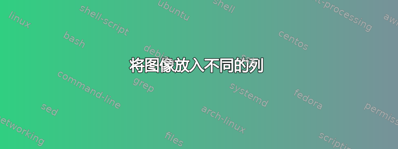 将图像放入不同的列