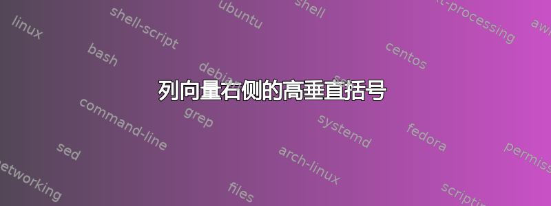 列向量右侧的高垂直括号