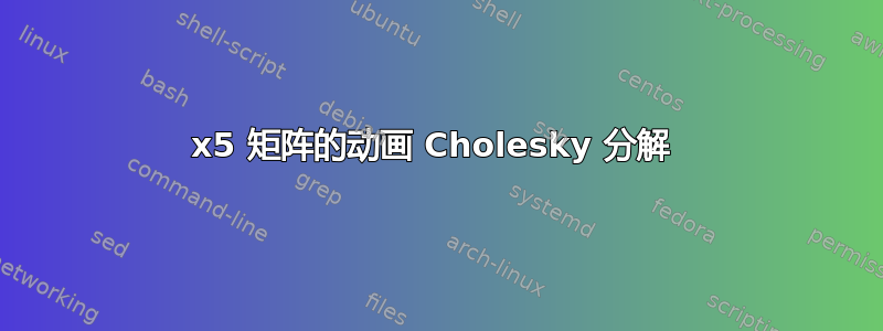 5x5 矩阵的动画 Cholesky 分解 