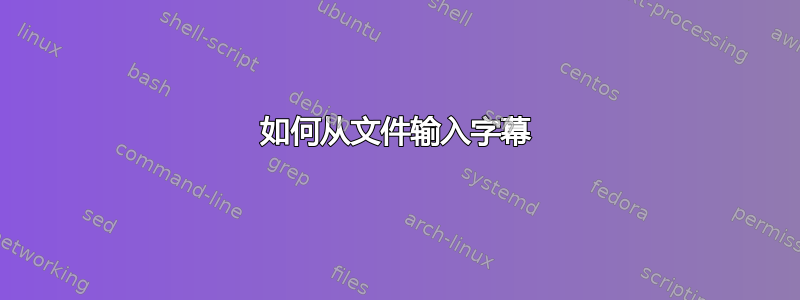 如何从文件输入字幕