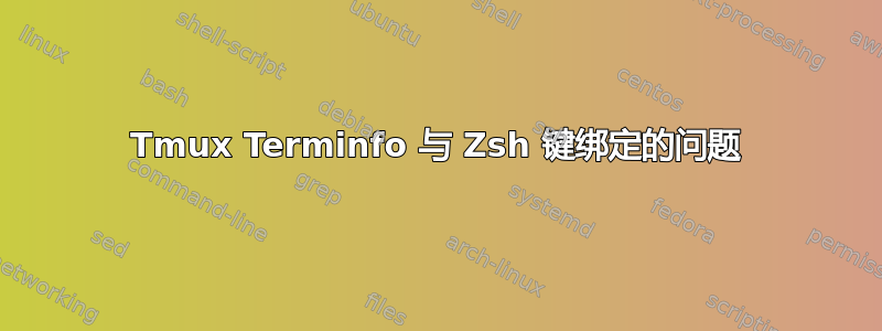 Tmux Terminfo 与 Zsh 键绑定的问题