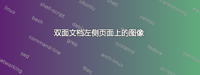 双面文档左侧页面上的图像