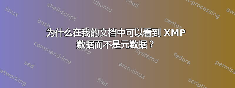 为什么在我的文档中可以看到 XMP 数据而不是元数据？