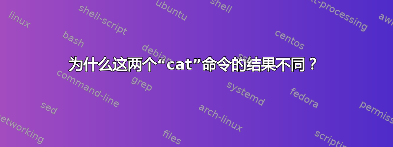 为什么这两个“cat”命令的结果不同？