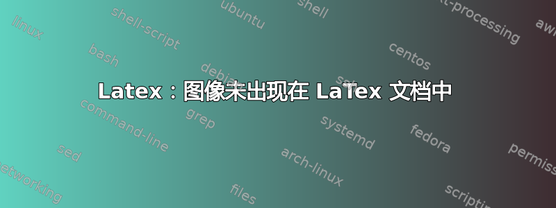 Latex：图像未出现在 LaTex 文档中