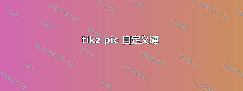 tikz pic 自定义键