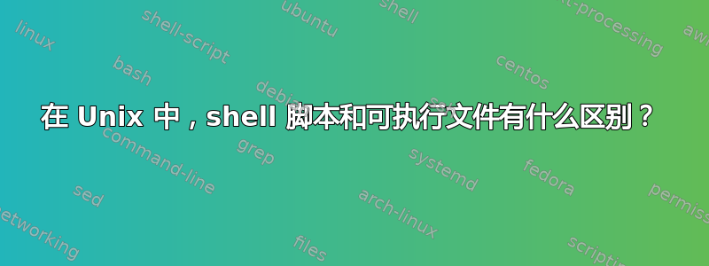 在 Unix 中，shell 脚本和可执行文件有什么区别？