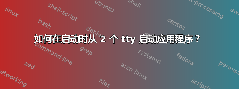 如何在启动时从 2 个 tty 启动应用程序？