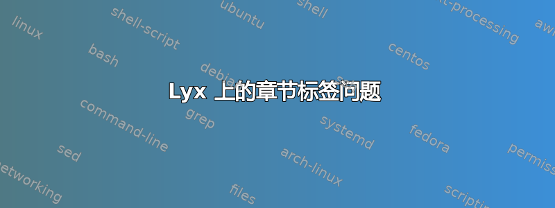 Lyx 上的章节标签问题