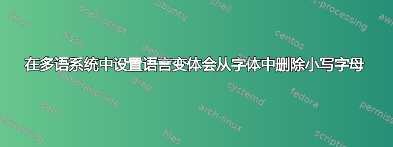 在多语系统中设置语言变体会从字体中删除小写字母