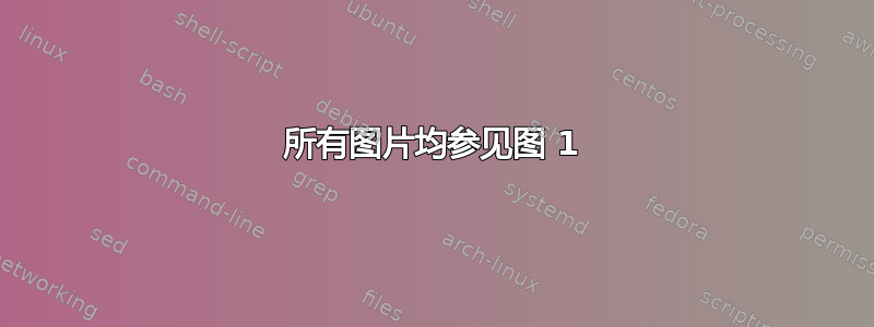 所有图片均参见图 1