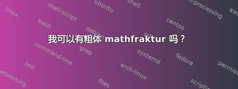 我可以有粗体 mathfraktur 吗？